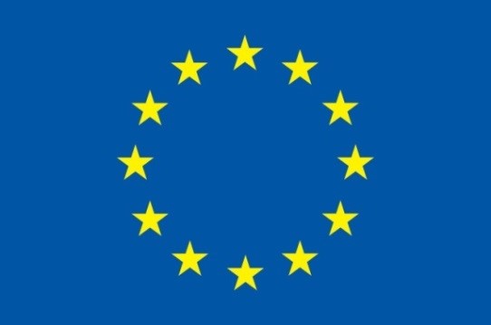 european flag
